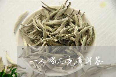 一人喝几克普洱茶/2023031699593