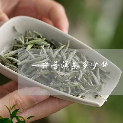 一件普洱茶多少饼/2023031879595