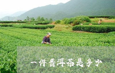 一件普洱茶是多少/2023031760747