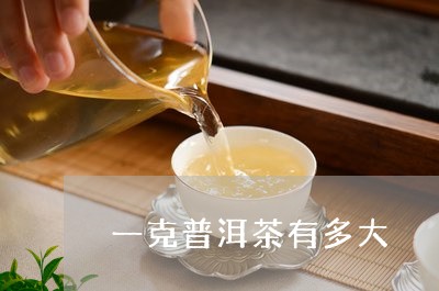 一克普洱茶有多大/2023033028384