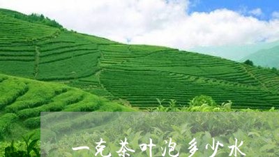 一克茶叶泡多少水/2023032580937