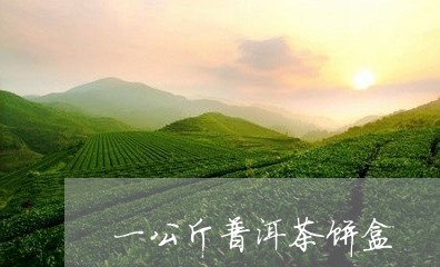 一公斤普洱茶饼盒/2023031686849