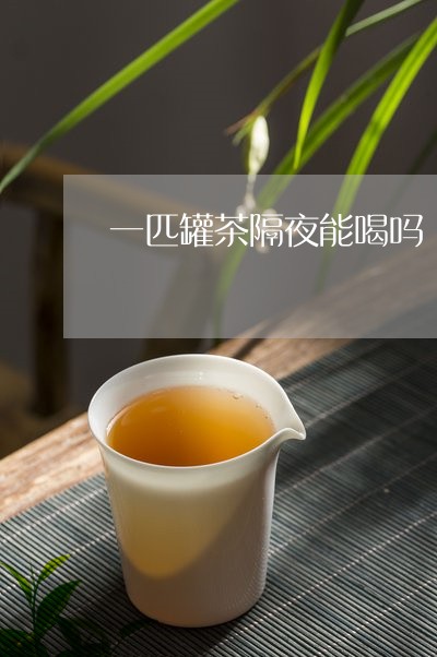 一匹罐茶隔夜能喝吗/2023041478726