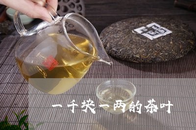 一千块一两的茶叶/2023032664036