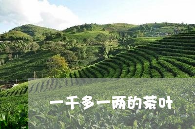 一千多一两的茶叶/2023032629626