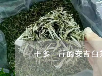 一千多一斤的安吉白茶好吗/2023040161613