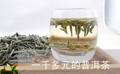 一千多元的普洱茶/2023040112607