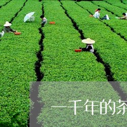 一千年的茶树能喝吗/2023041667381