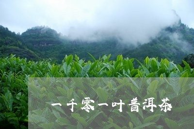 一千零一叶普洱茶/2023040982814