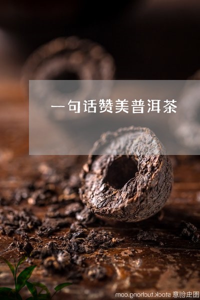 一句话赞美普洱茶/2023033064046