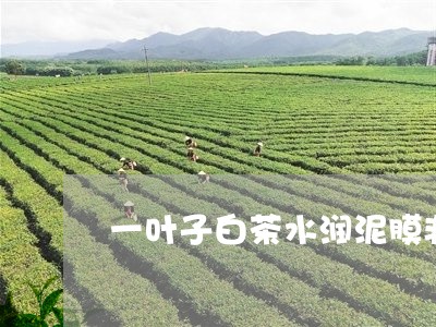 一叶子白茶水润泥膜非卖品/2023040107380