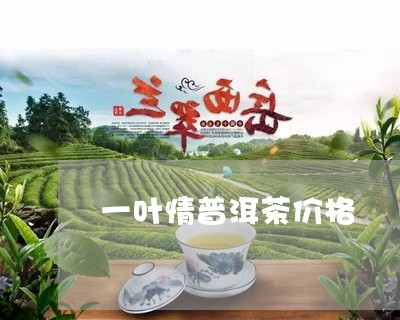 一叶情普洱茶价格/2023033191614