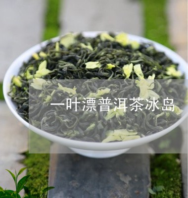 一叶漂普洱茶冰岛/2023041376159