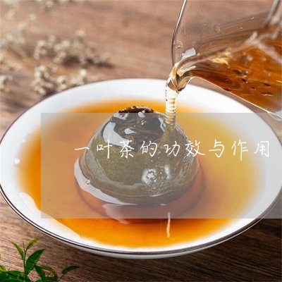 一叶茶的功效与作用/2023041705159