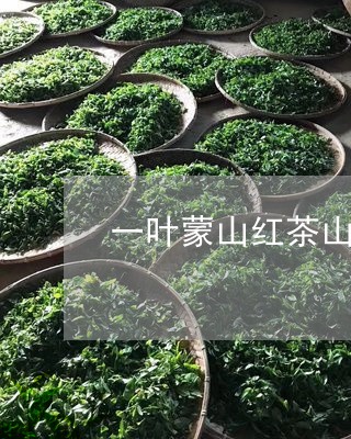 一叶蒙山红茶山系列/2023032061793