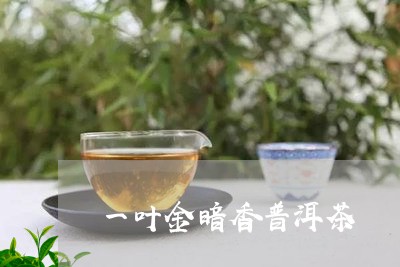 一叶金暗香普洱茶/2023033013058