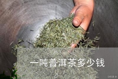 一吨普洱茶多少钱/2023031795070