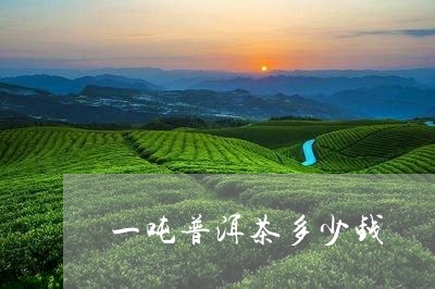 一吨普洱茶多少钱/2023041314825