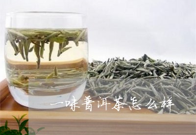 一味普洱茶怎么样/2023033051717