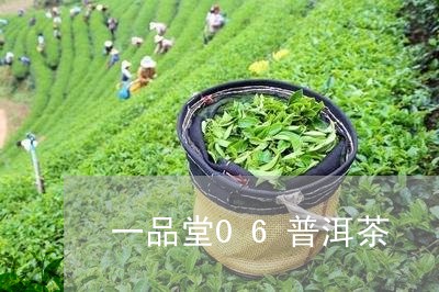 一品堂06普洱茶/2023041342819