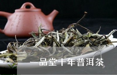 一品堂十年普洱茶/2023033094826