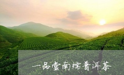 一品堂南糯普洱茶/2023033009464