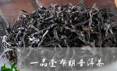 一品堂布朗普洱茶/2023033097147