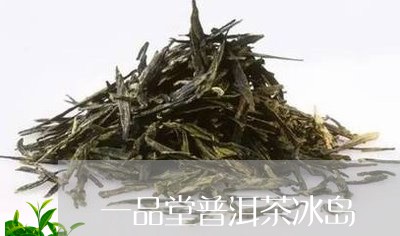 一品堂普洱茶冰岛/2023041373734