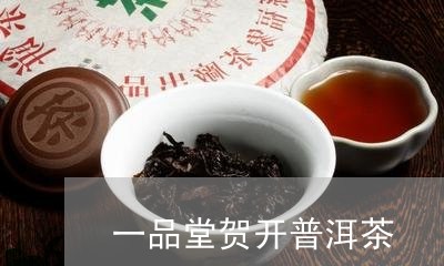 一品堂贺开普洱茶/2023033039483