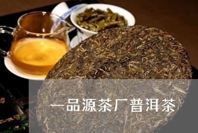 一品源茶厂普洱茶/2023040135838