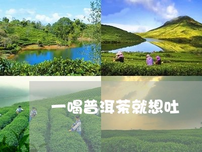 一喝普洱茶就想吐/2023033133826