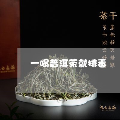 一喝普洱茶就排毒/2023033096169