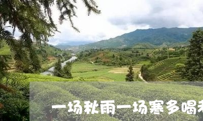 一场秋雨一场寒多喝老白茶/2023040117472