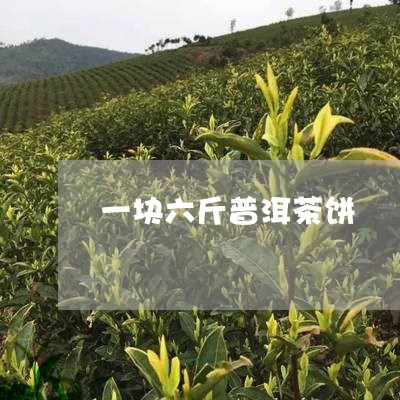 一块六斤普洱茶饼/2023033009415