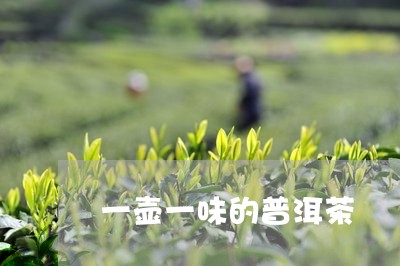 一壶一味的普洱茶/2023033001025