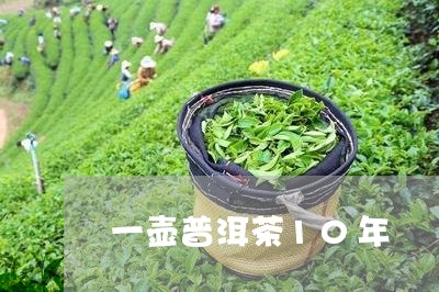 一壶普洱茶10年/2023033174195