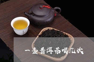 一壶普洱茶喝几次/2023033149283