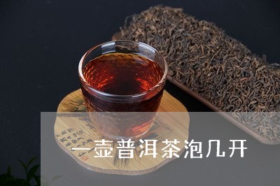 一壶普洱茶泡几开/2023033008361