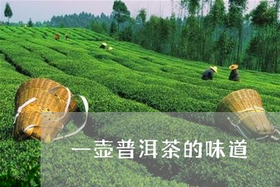 一壶普洱茶的味道/2023033187471