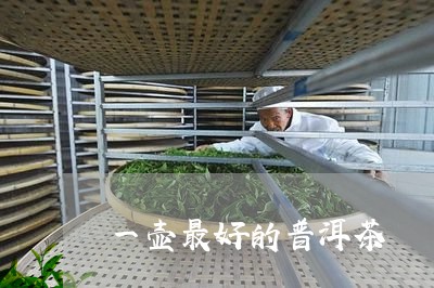 一壶最好的普洱茶/2023033161694