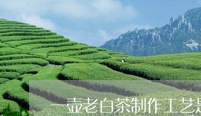 一壶老白茶制作工艺是什么/2023040169371