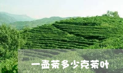 一壶茶多少克茶叶/2023032738480