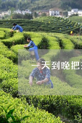 一天到晚把茶当水喝/2023041544405