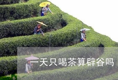 一天只喝茶算辟谷吗/2023032017361