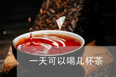 一天可以喝几杯茶/2023032224837