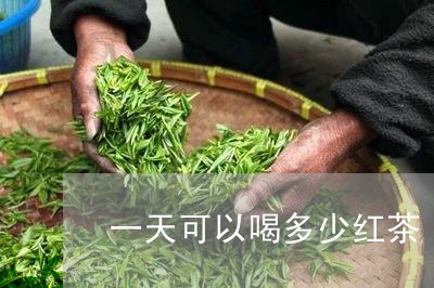 一天可以喝多少红茶/2023041528574