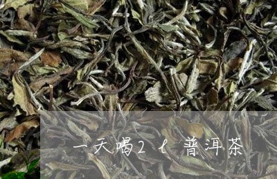 一天喝2l普洱茶/2023033003949