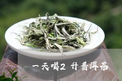 一天喝2升普洱茶/2023033054936