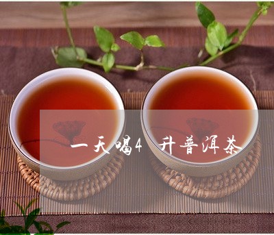 一天喝4升普洱茶/2023033077281