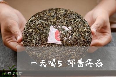 一天喝5杯普洱茶/2023031640695